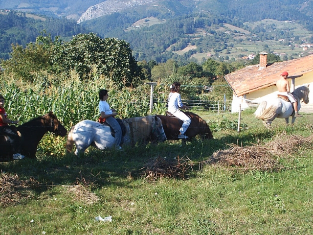  Cavallini a Los Picos de Europa 